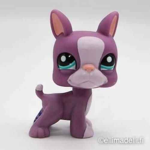 Littlest Petshop Bostoninterrieri #2229 - Littlest Petshop