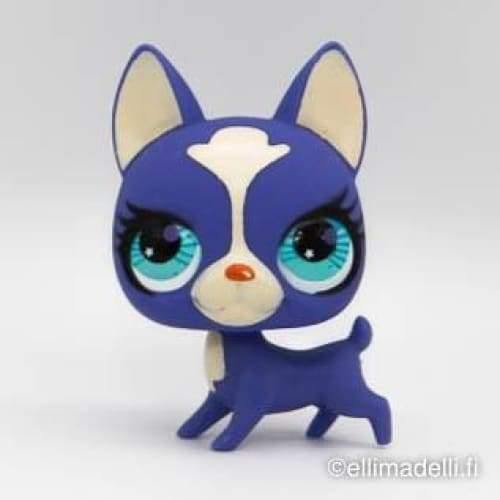 Littlest Petshop Bostoninterrieri #2750 - Littlest Petshop