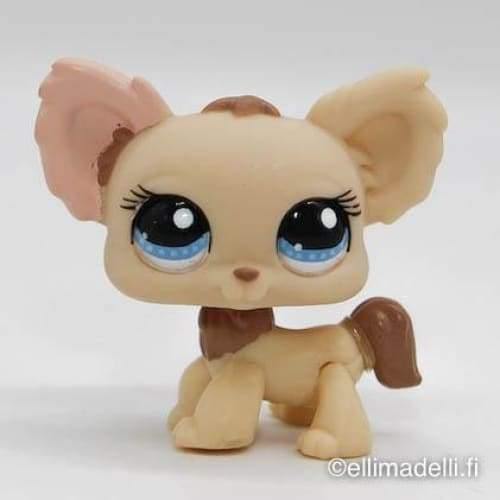 Littlest Petshop Chihuahua #1171 - Littlest Petshop