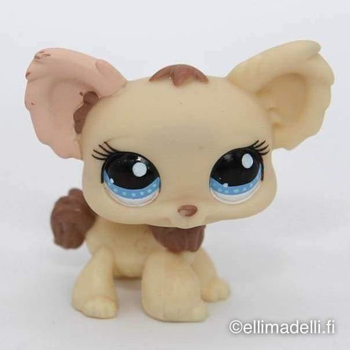 Littlest Petshop Chihuahua #1171 - Littlest Petshop