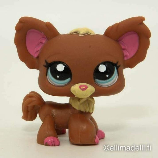 Littlest Petshop Chihuahua #1623 - Littlest Petshop