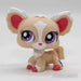 Littlest Petshop Chihuahua #1892 - Littlest Petshop