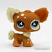 Littlest Petshop Chihuahua #731 - Littlest Petshop