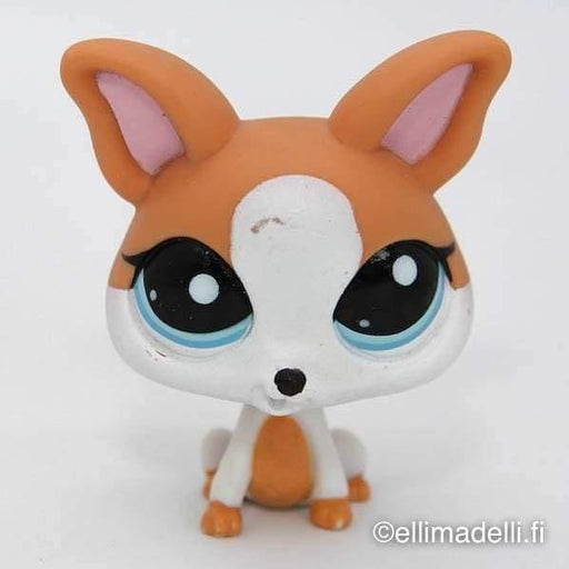 Littlest Petshop Chihuahua Koira #2072 - Littlest Petshop