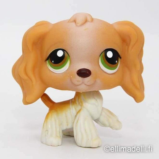 Littlest Petshop Cockerspanieli #79 - Littlest Petshop