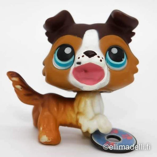 Littlest Petshop Collie koira #237 - Littlest Petshop