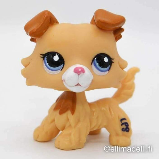 Littlest Petshop Collie koira #2452 - Littlest Petshop