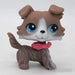 Littlest Petshop Collie koira #67 - Littlest Petshop