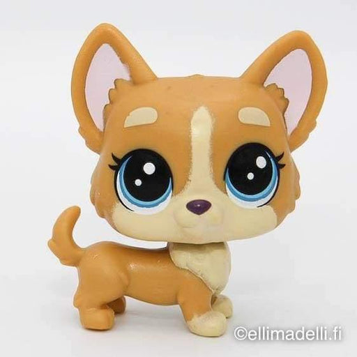 Littlest Petshop Corgi koira #204 - Littlest Petshop