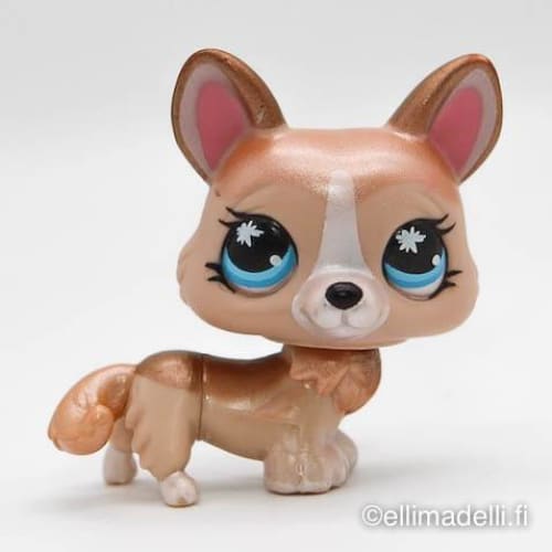 Littlest Petshop Corgi koira #871 - Littlest Petshop