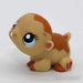 Littlest Petshop Hamsteri #1198 - Littlest Petshop