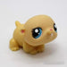 Littlest Petshop Hamsteri #1774 - Littlest Petshop