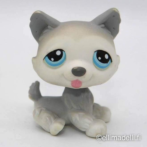 Littlest Petshop Husky #70 - Littlest Petshop