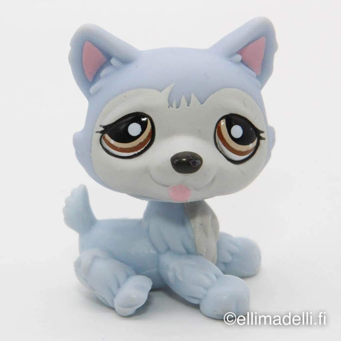 Littlest Petshop Husky koira #1046 - Littlest Petshop