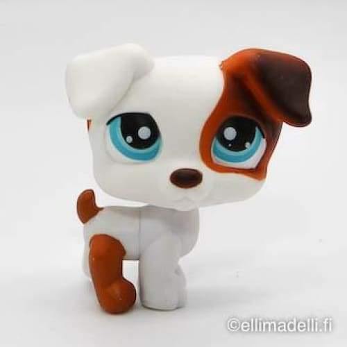 Littlest Petshop Jack Russell #151 - Littlest Petshop