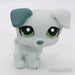 Littlest Petshop JackRussell #1426 - Littlest Petshop