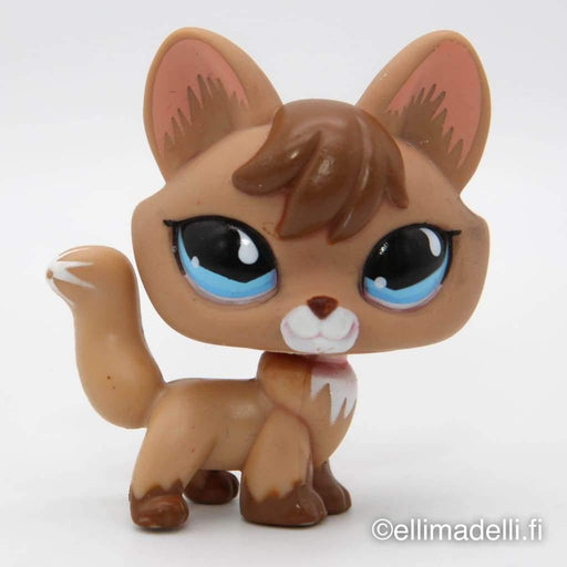 Littlest Petshop Kettu #673 - Littlest Petshop