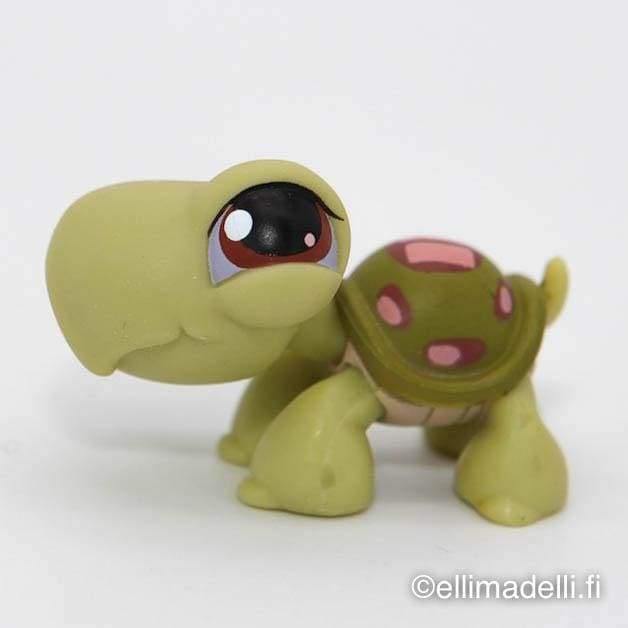 Littlest Petshop Kilpikonna #7 - Littlest Petshop