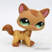 Littlest Petshop Kissa #1174 - Littlest Petshop