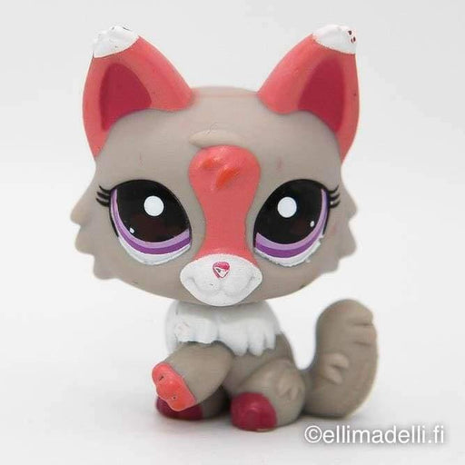 Littlest Petshop Kissa #1921 - Littlest Petshop