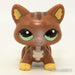 Littlest Petshop Kissa #2123 - Littlest Petshop