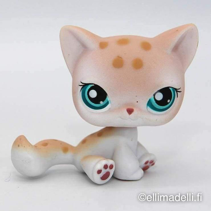 Littlest Petshop Kissa #224 - Littlest Petshop