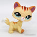 Littlest Petshop Kissa #2255 - Littlest Petshop