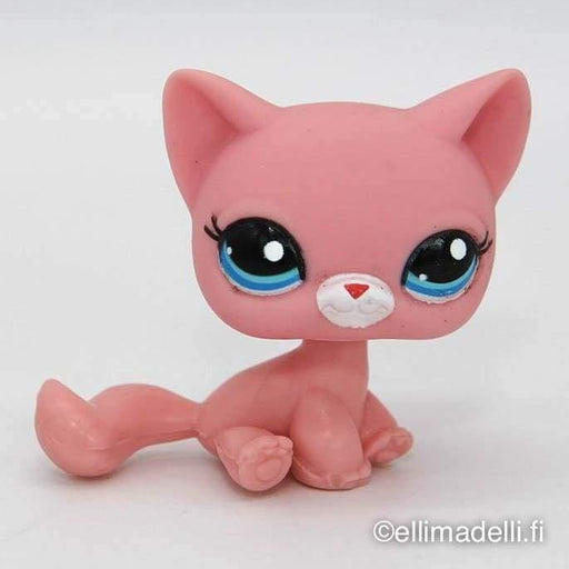 Littlest Petshop Kissa #2593 - Littlest Petshop