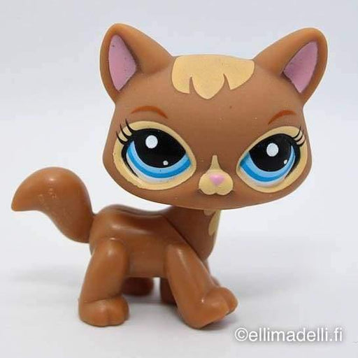 Littlest Petshop Kissa #3578 - Littlest Petshop