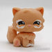 Littlest Petshop Kissa #490 - Littlest Petshop