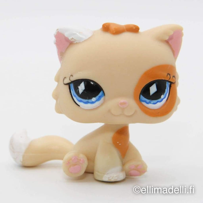 Littlest Petshop Kissa #521 - Littlest Petshop