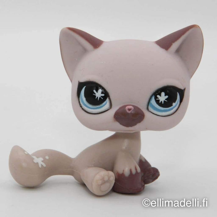 Littlest Petshop Kissa #664 - Littlest Petshop