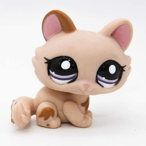 Littlest Petshop Kissa pentu #1444 - Littlest Petshop