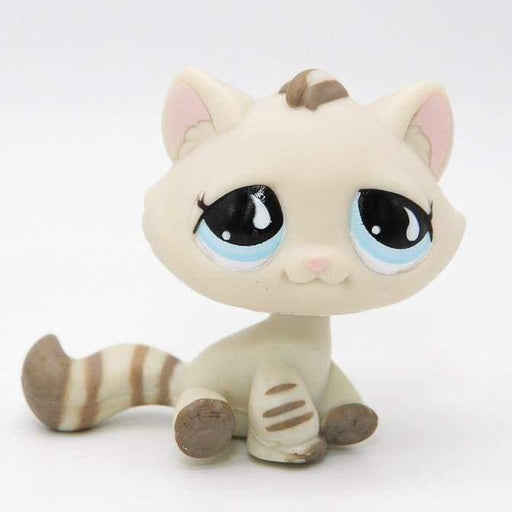 Littlest Petshop Kissa pentu #563 - Littlest Petshop