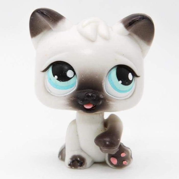 Littlest Petshop Kissa #PP1 - Littlest Petshop