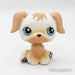 Littlest Petshop Kultainen noutaja #140 - Littlest Petshop