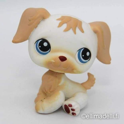 Littlest Petshop Kultainen noutaja #140 - Littlest Petshop