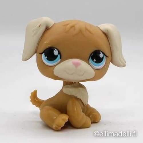 Littlest Petshop Kultainen noutaja #788 - Littlest Petshop