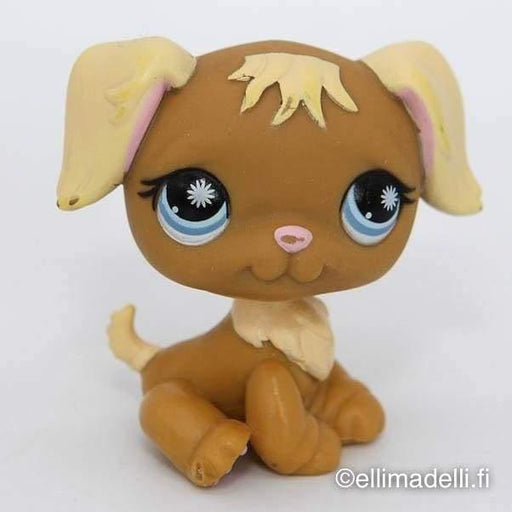 Littlest Petshop Kultainen noutaja #951 - Littlest Petshop