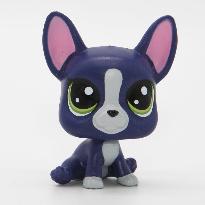 Littlest Petshop Bostonin terrieri #no