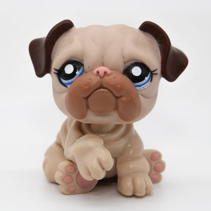 Littlest Petshop Bulldog koira #1765