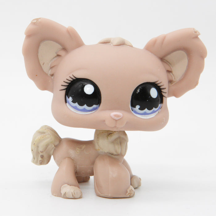 Littlest Petshop Chihuahua #1060