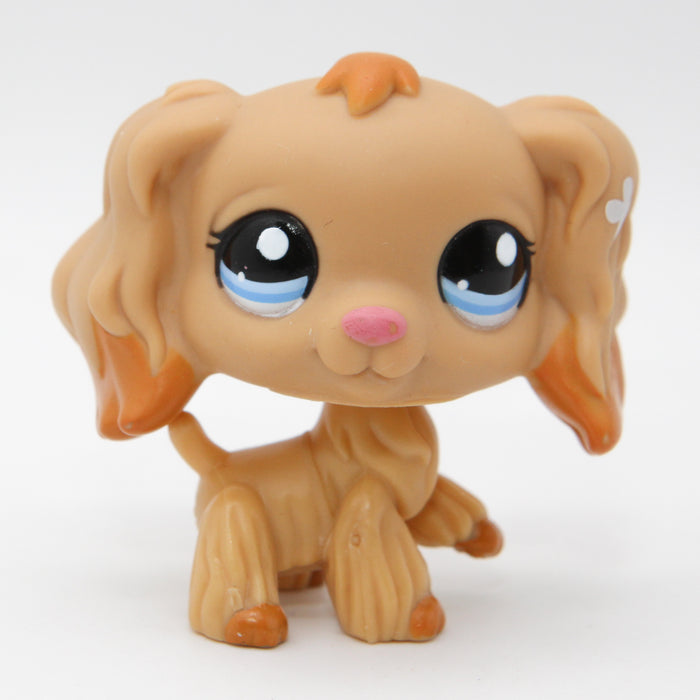 Littlest Petshop Cockerspanieli koira #1716