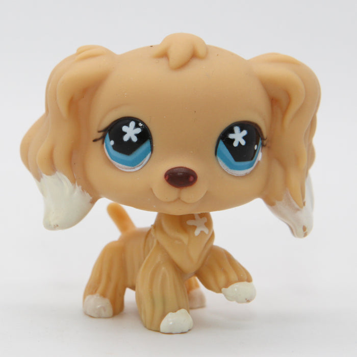 Littlest Petshop Cockerspanieli #748