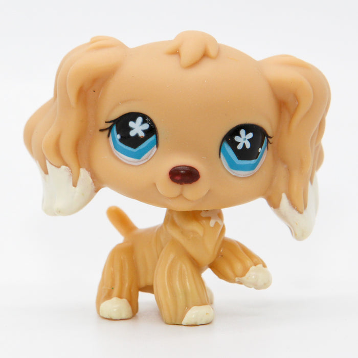 Littlest Petshop Cockerspanieli #748