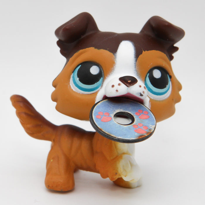 Littlest Petshop Collie koira #237