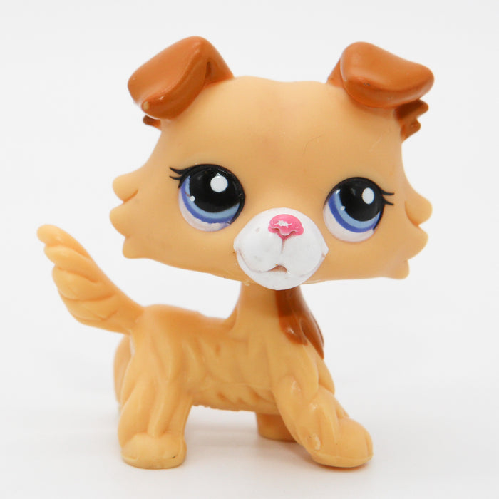 Littlest Petshop Collie koira #2452