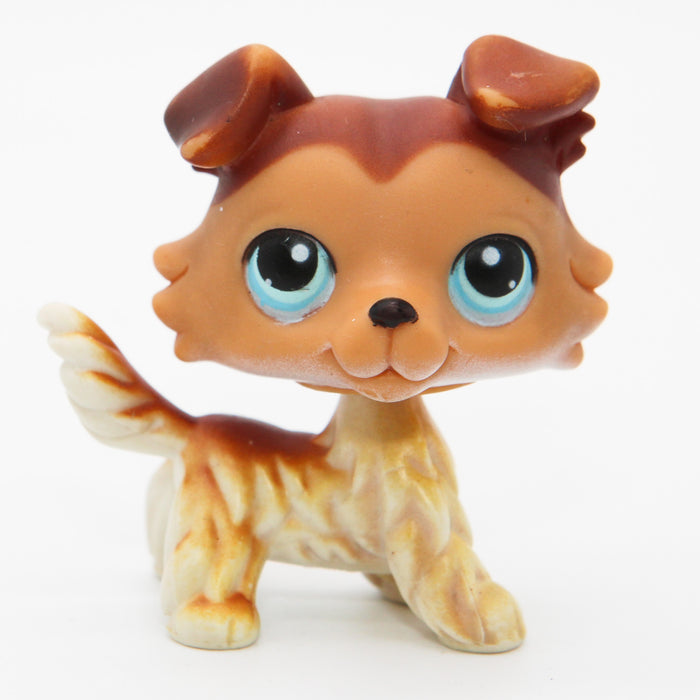 Littlest Petshop Collie koira #58