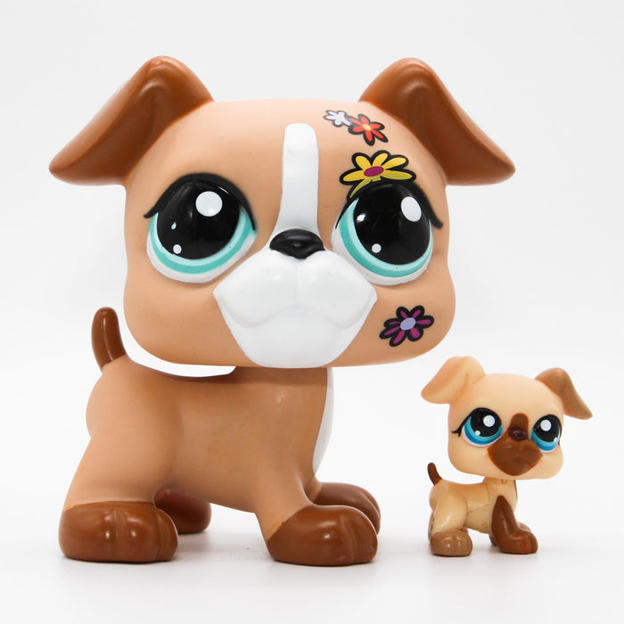 Littlest Petshop jätti Bokseri koira