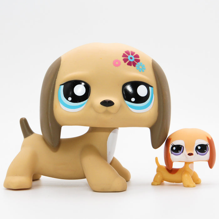 Littlest Petshop jätti Mäyräkoira #no